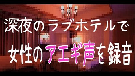 ホテル 喘ぎ声|隣の部屋のアエギ声が聞こえるラブホを紹介するブログ 新小岩